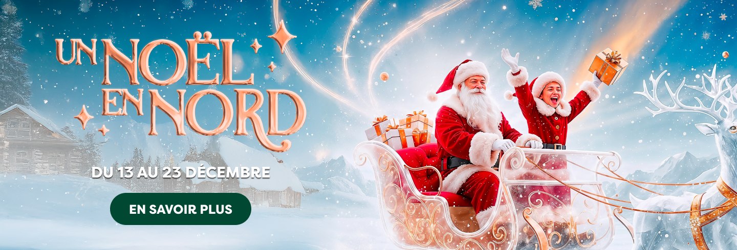 Découvrez la magie de Noël dans votre centre commercial Auchan Rives de L'AA